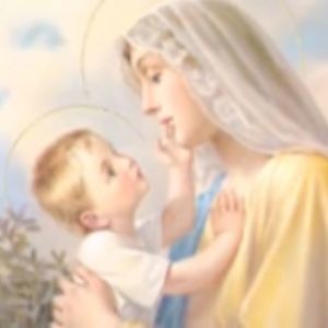 Meet your Posher, Bella